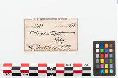 Etikett zu Eisenmesser (NHMW-PRAE-002288)